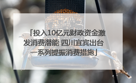 投入10亿元财政资金激发消费潜能 四川宜宾出台一系列提振消费措施