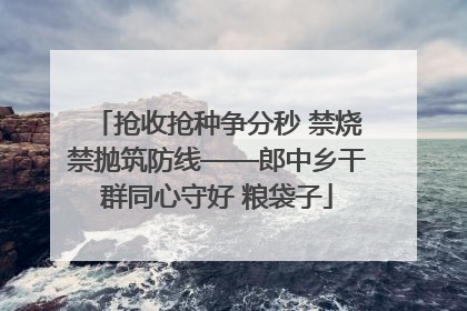 抢收抢种争分秒 禁烧禁抛筑防线——郎中乡干群同心守好 粮袋子