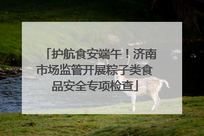 护航食安端午！济南市场监管开展粽子类食品安全专项检查