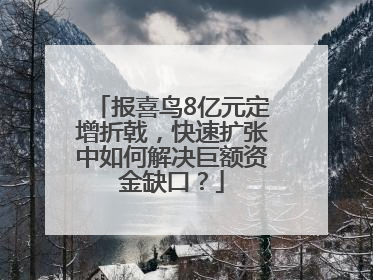 报喜鸟8亿元定增折戟，快速扩张中如何解决巨额资金缺口？