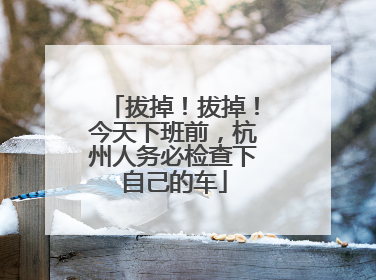 拔掉！拔掉！今天下班前，杭州人务必检查下自己的车