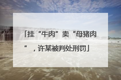 挂“牛肉”卖“母猪肉”，许某被判处刑罚