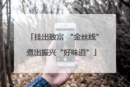 挂出致富 “金丝线” 煮出振兴“好味道”