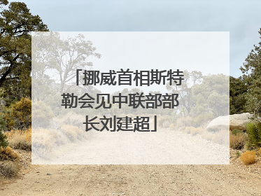 挪威首相斯特勒会见中联部部长刘建超