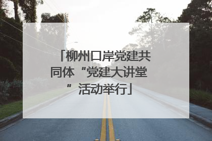 柳州口岸党建共同体“党建大讲堂”活动举行