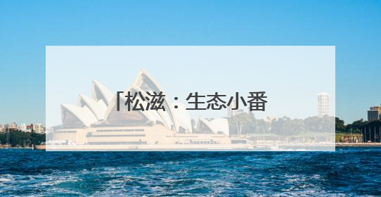 松滋：生态小番茄丰收 绿色农业助力农民增收