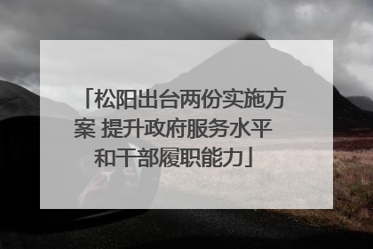 松阳出台两份实施方案 提升政府服务水平和干部履职能力