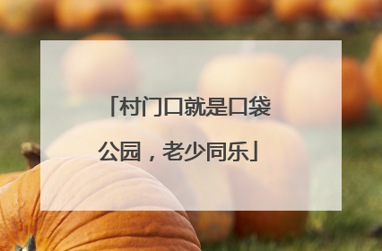 村门口就是口袋公园，老少同乐