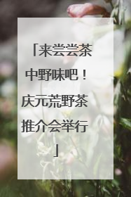 来尝尝茶中野味吧！庆元荒野茶推介会举行