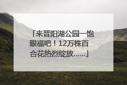 来晋阳湖公园一饱眼福吧！12万株百合花热烈绽放……