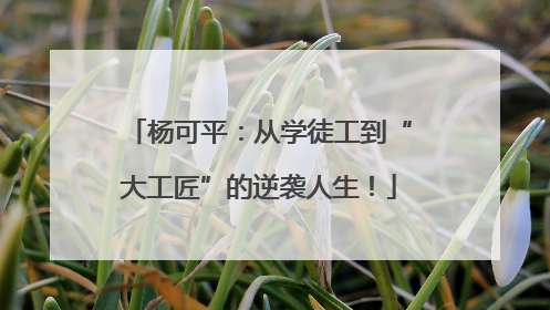 杨可平：从学徒工到“大工匠”的逆袭人生！