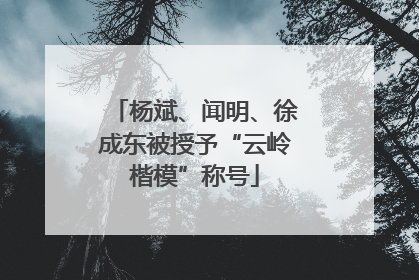 杨斌、闻明、徐成东被授予“云岭楷模”称号