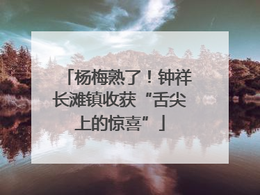 杨梅熟了！钟祥长滩镇收获“舌尖上的惊喜”