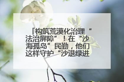 构筑荒漠化治理“法治屏障”！在“沙海孤岛”民勤，他们这样守护“沙退绿进”的生态奇迹
