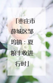 枣庄市薛城区邹坞镇：夏粮丰收进行时