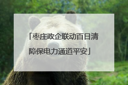 枣庄政企联动百日清障保电力通道平安