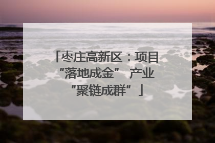 枣庄高新区：项目“落地成金” 产业“聚链成群”