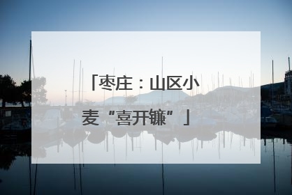 枣庄：山区小麦“喜开镰”
