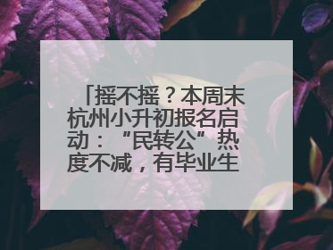 摇不摇？本周末杭州小升初报名启动：“民转公”热度不减，有毕业生家长这样谈“择校真相”……