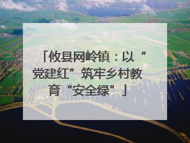 攸县网岭镇：以“党建红”筑牢乡村教育“安全绿”