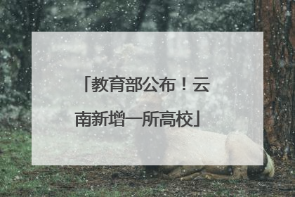 教育部公布！云南新增一所高校