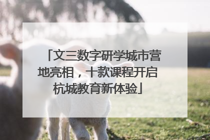 文三数字研学城市营地亮相，十款课程开启杭城教育新体验