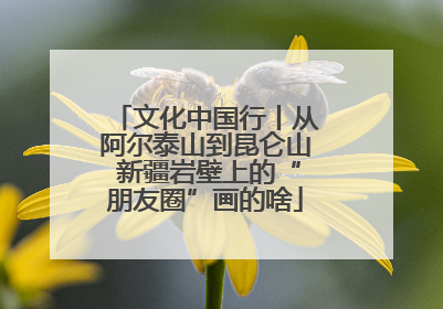 文化中国行丨从阿尔泰山到昆仑山 新疆岩壁上的“朋友圈”画的啥