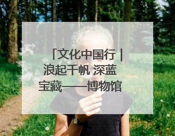 文化中国行｜浪起千帆 深蓝宝藏——博物馆里的海丝遗珍