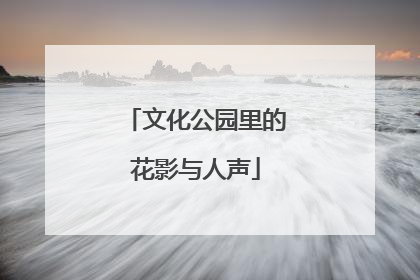 文化公园里的花影与人声
