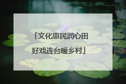 文化惠民润心田 好戏连台暖乡村