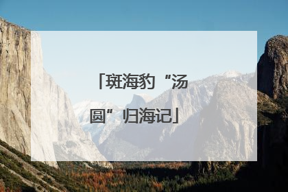 斑海豹“汤圆”归海记