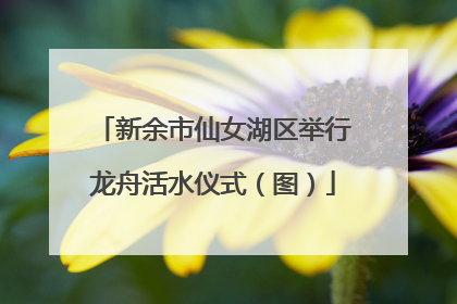 新余市仙女湖区举行龙舟活水仪式（图）
