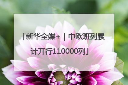 新华全媒+｜中欧班列累计开行110000列