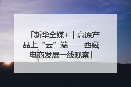 新华全媒+｜高原产品上“云”端——西藏电商发展一线观察