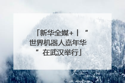 新华全媒+丨“世界机器人嘉年华”在武汉举行