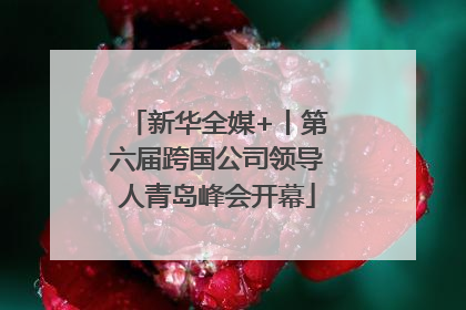 新华全媒+丨第六届跨国公司领导人青岛峰会开幕