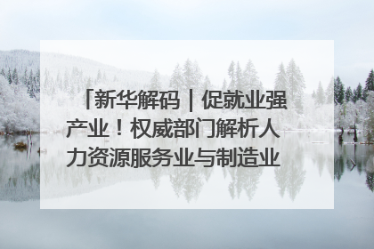 新华解码｜促就业强产业！权威部门解析人力资源服务业与制造业融合发展试点