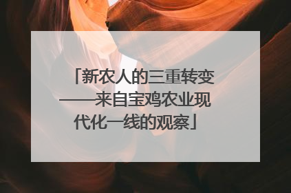 新农人的三重转变——来自宝鸡农业现代化一线的观察