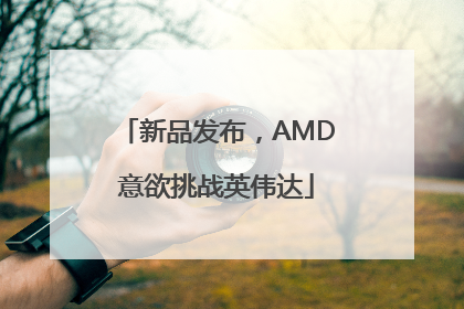 新品发布，AMD意欲挑战英伟达