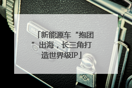 新能源车“抱团”出海，长三角打造世界级IP