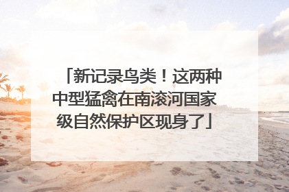 新记录鸟类！这两种中型猛禽在南滚河国家级自然保护区现身了
