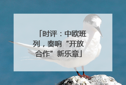 时评：中欧班列，奏响“开放合作”新乐章