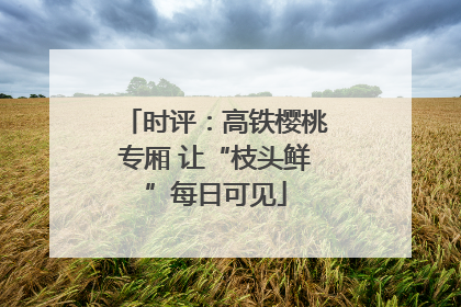 时评：高铁樱桃专厢 让“枝头鲜”每日可见