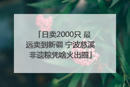 日卖2000只 最远卖到新疆 宁波慈溪非遗粽凭啥火出圈