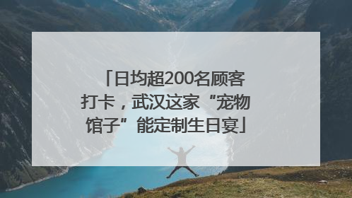 日均超200名顾客打卡，武汉这家“宠物馆子”能定制生日宴