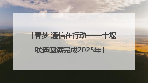 春梦 通信在行动——十堰联通圆满完成2025年