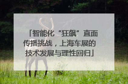 智能化“狂飙”直面传播挑战，上海车展的技术发展与理性回归