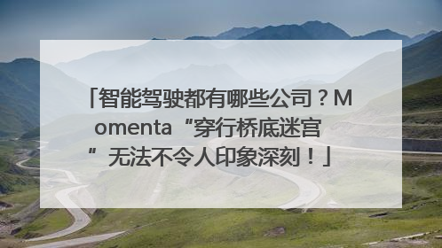 智能驾驶都有哪些公司？Momenta“穿行桥底迷宫”无法不令人印象深刻！
