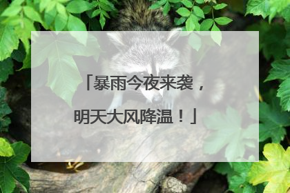 暴雨今夜来袭，明天大风降温！
