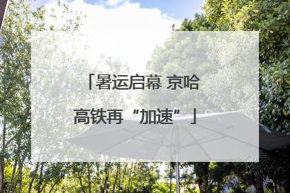 暑运启幕 京哈高铁再“加速”